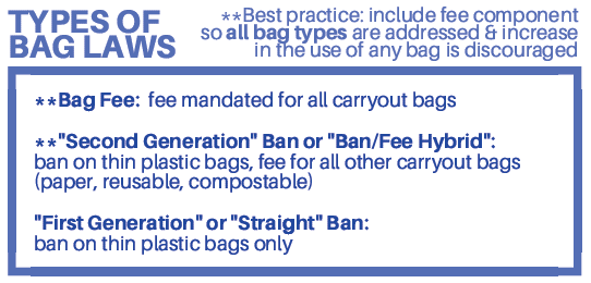 Cuomo Bag Ban image.png