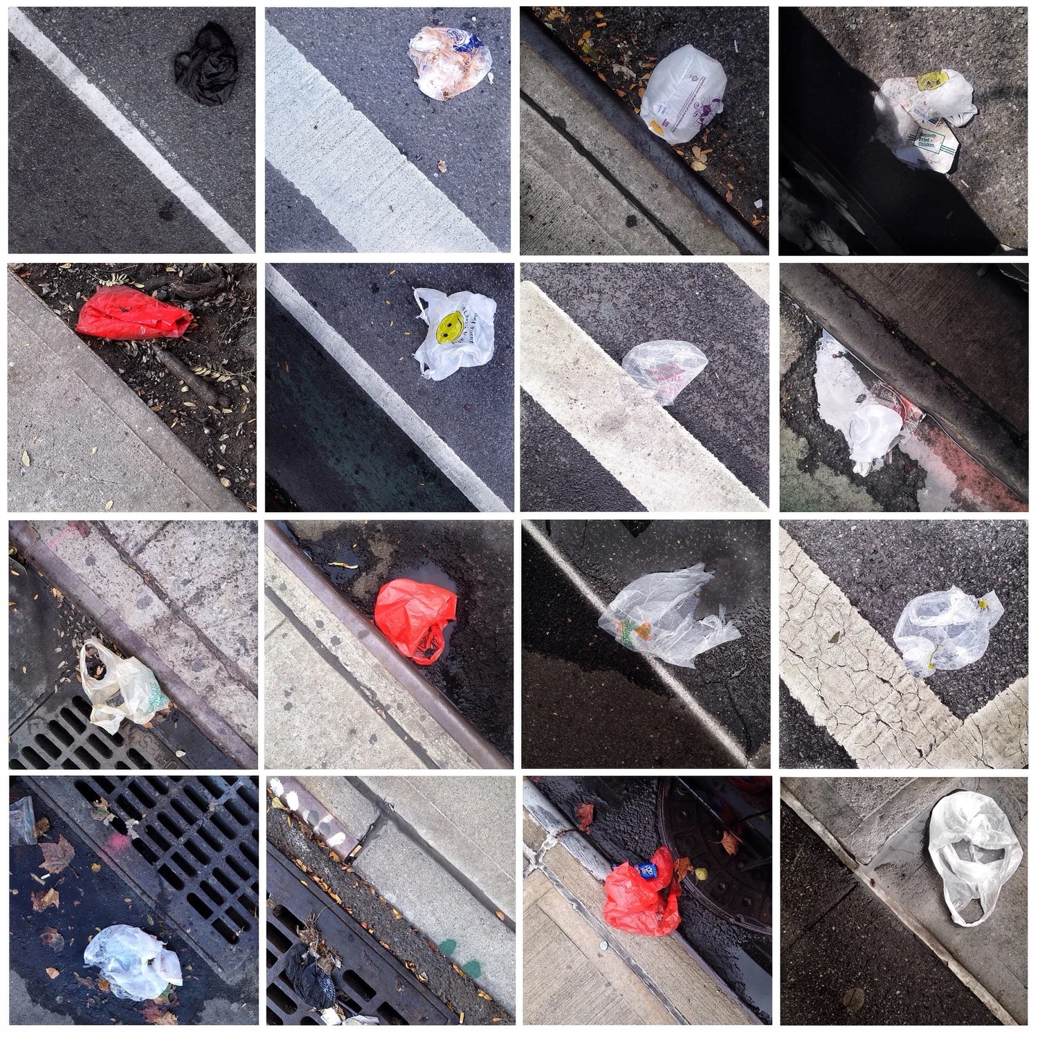 DOROTHEE PIERRARD Photographs of plastic carryout bags littering curbsides in Harlem (part 7).